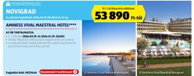 AMINESS VIVAL MAESTRAL HOTEL**** – Aldi