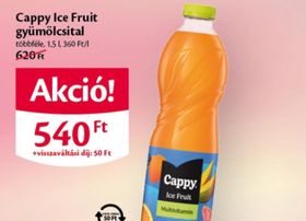 Cappy Ice Fruit gyümölcsital – Ecofamily