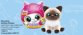 Pets Alive Smitten Kittens – Tesco