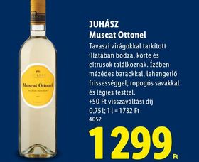 JUHÁSZ Muscat Ottonel – Lidl