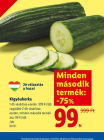Kígyóuborka – Lidl