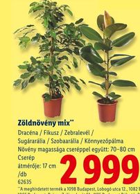 Zöldnövény mix** – Lidl