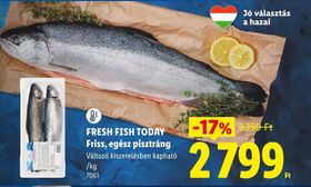 FRESH FISH TODAY Friss, egész pisztráng – Lidl