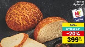 Borsos tigriscipó – Spar