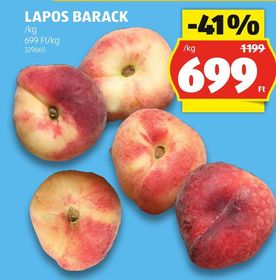 LAPOS BARACK – Aldi