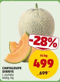 CANTALOUPE DINNYE – Penny