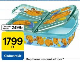 Kapibarás uzsonnásdoboz – Tesco