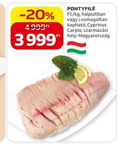 PONTYFILÉ – Auchan