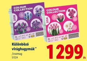 Különböző virághagymák** – Lidl
