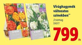 Virághagymák változatos színekben** – Lidl