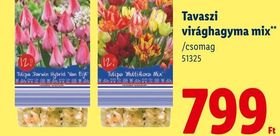 Tavaszi virághagyma mix** – Lidl