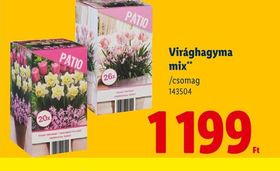 Virághagyma mix** – Lidl