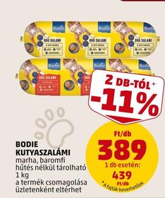 BODIE KUTYASZALÁMI – Penny