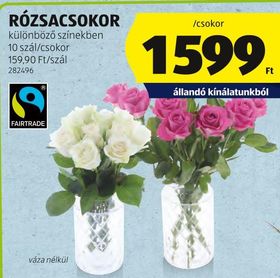 RÓZSACSOKOR – Aldi
