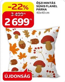 ŐSZI MINTÁS SÜNIS FLANEL PÁRNA – Auchan