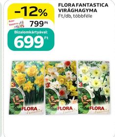 FLORA FANTASTICA VIRÁGHAGYMA – Auchan