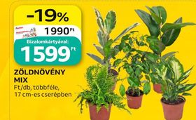 ZÖLDNÖVÉNY MIX – Auchan