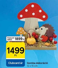 Gomba dekoráció – Tesco