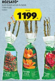 RÓZSATŐ* – Aldi