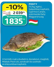 PONTY – Auchan