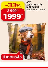 ŐSZI ÁLLAT MINTÁS DÍSZPÁRNA – Auchan