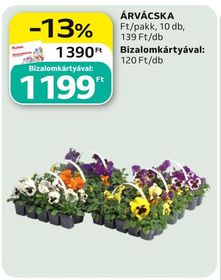 ÁRVÁCSKA – Auchan