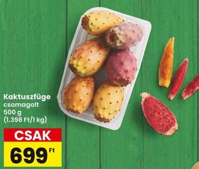 Kaktuszfüge – Spar