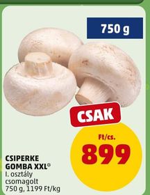 CSIPERKE GOMBA XXL* – Penny