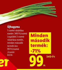 Újhagyma – Lidl