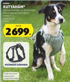ROMEO KUTYAHÁM* – Aldi