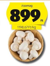 Gomba – Aldi