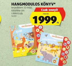 HANGMODULOS KÖNYV* – Aldi
