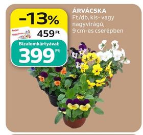 ÁRVÁCSKA – Auchan