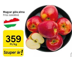 Magyar gála alma – Tesco