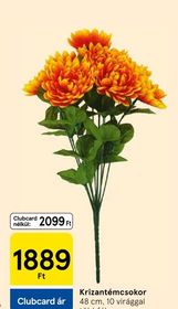 Krizantémcsokor – Tesco