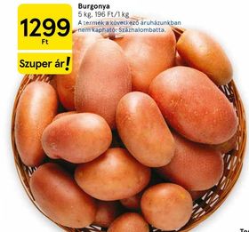 Burgonya – Tesco