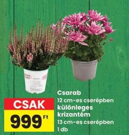 Csarab – Spar