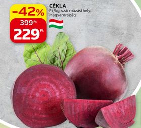 CÉKLA – Auchan
