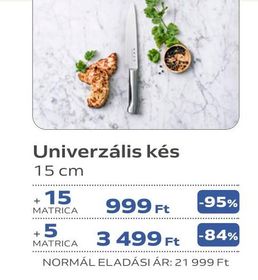 Univerzális kés – Auchan