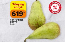 CONFERENCE KÖRTE – Auchan