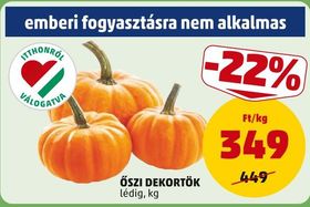 ŐSZI DEKORTÖK – Penny