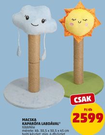 MACSKA KAPARÓFA LABDÁVAL* – Penny