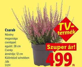 Csarab – Lidl