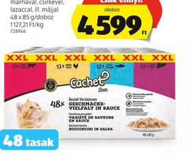 CACHET XXL MACSKAELEDEL, 48 TASAK* – Aldi