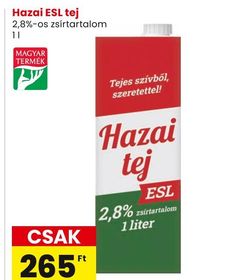Hazai ESL tej – Spar