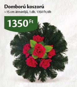 Domború koszorú – Ecofamily