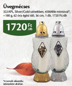 Üvegmécses – Ecofamily