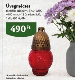 Üvegmécses – Ecofamily