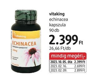 vitaking echinacea kapszula – dm